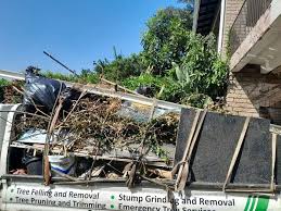 Shed Removal in Rapid City, MI