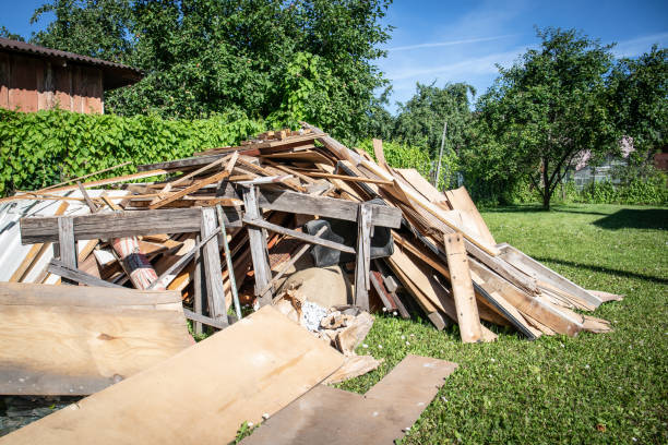 Best Basement Cleanout  in Rapid City, MI